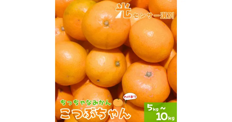 【ふるさと納税】 《 額田農園限定レビューキャンペーン対象 》＼光センサー選別／訳あり 3S ちっちゃな有田みかん 約5kg〜10kg 有機質肥料100% ※2024年11月中旬頃〜2025年1月中旬頃に順次発送予定（お届け日指定不可） 先行予約 みかん 温州みかん ミカン 小粒