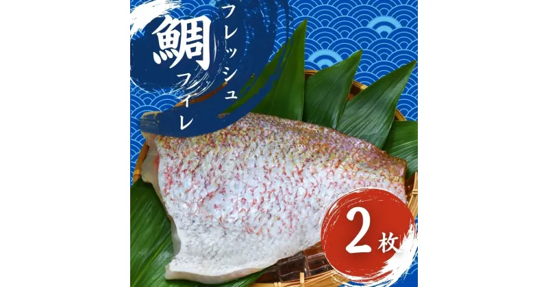 【ふるさと納税】 フレッシュマダイフィレ 2枚入り/ 真鯛 鯛フィレ 鯛 魚 冷蔵 おかず 魚 お魚 魚介 海鮮 安心 人気美味しい