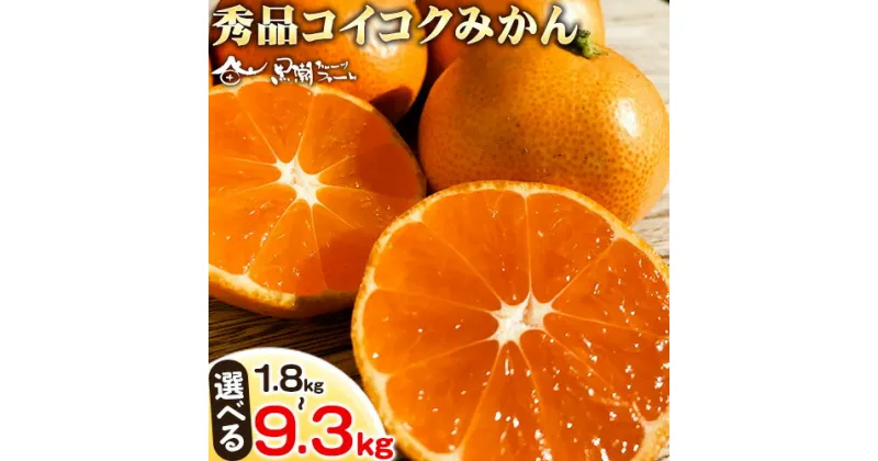 【ふるさと納税】【秀品】冬のみかん コイコク（恋い告）選べる 内容量 1.8kg 2.7kg 4.5kg 9.3kg 黒潮フルーツファーム《11月下旬-12月下旬頃出荷》和歌山県 紀の川市 みかん フルーツ 果物