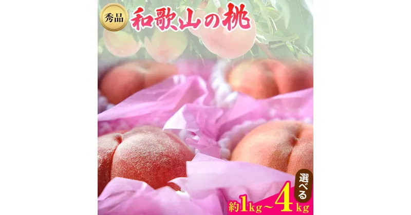 【ふるさと納税】和歌山県紀の川市産桃（もも）選べる 約1kg～4kg 秀品 前商店《6月中旬-8月上旬頃出荷》産地直送 もも モモ 果物 フルーツ