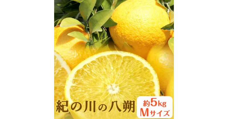 【ふるさと納税】秀品 紀の川の八朔 約5kg Mサイズ 厳選 はっさく 柑橘《2025年1月中旬-2月下旬頃出荷》 紀の川市厳選館 和歌山県 紀の川市 フルーツ 果物