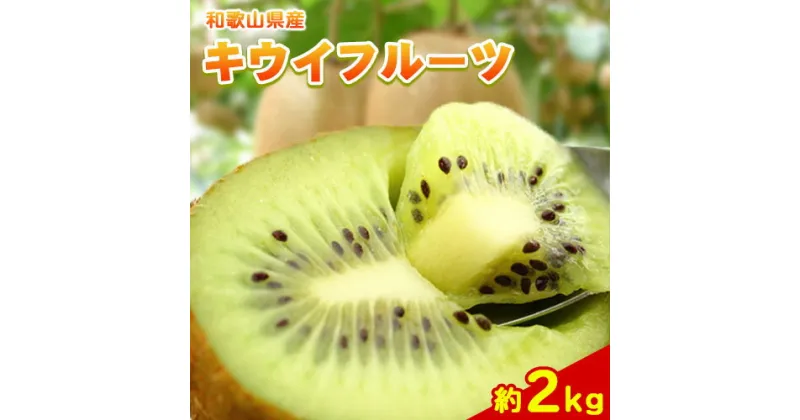 【ふるさと納税】和歌山県紀の川市産キウイフルーツ約2kg(サイズおまかせ)・秀品 紀の川市厳選館 《2024年11月下旬-2025年4月中旬頃より出荷予定》 和歌山県 紀の川市 果物 フルーツ キウイ