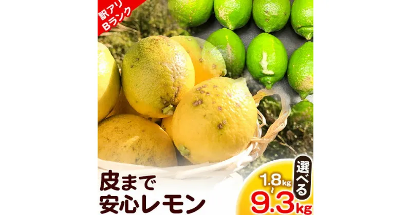 【ふるさと納税】【訳ありBランク】皮まで安心レモン選べる 内容量 1.8kg 2.7kg 4.5kg 9.3kg 黒潮フルーツファーム《10月中旬-4月中旬頃出荷》和歌山県 紀の川市 レモン