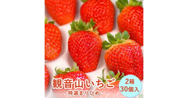 【ふるさと納税】【先行予約】和歌山県産 観音山いちご（特選まりひめ）30玉 有限会社柑香園 【日付指定不可】《2025年1月末-3月上旬出荷》 和歌山県 紀の川市 苺 フルーツ 果物