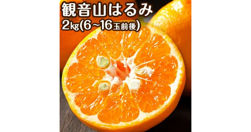 【ふるさと納税】観音山はるみ 2kg (約6玉-16玉前後) 有限会社柑香園《2025年2月中旬-3月末頃出荷》和歌山県 紀の川市 フルーツ 果物 柑橘 みかん 春見