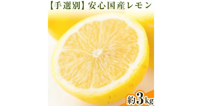 【ふるさと納税】【手選別・産直】紀の川市産の安心国産レモン 約3kg 柑橘《12月・1月出荷》 紀の川市厳選館 和歌山県 紀の川市 フルーツ 果物