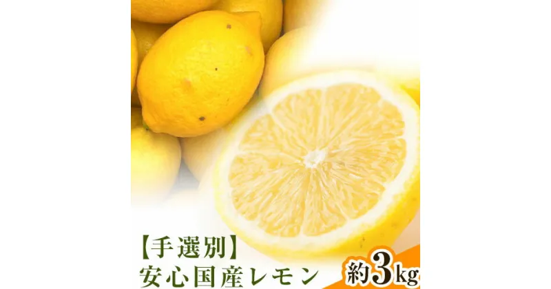 【ふるさと納税】【手選別・産直】紀の川市産の安心国産レモン 約3kg 柑橘《2024年11月出荷》 紀の川市厳選館 和歌山県 紀の川市 フルーツ 果物