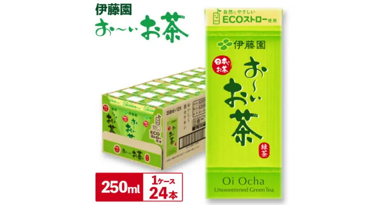 【ふるさと納税】紀の川市産 紙パック飲料 おーいお茶 250ml×24本 1ケース 株式会社伊藤園 《30日以内に出荷予定(土日祝除く)》 和歌山県 紀の川市 お茶 おーいお茶 緑茶 日本茶 送料無料