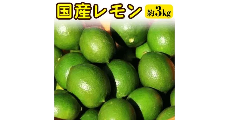 【ふるさと納税】国産レモン 約3kg アトランティスファーム《11月上旬-3月中旬頃出荷》和歌山県 紀の川市 フルーツ 果物 柑橘