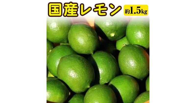 【ふるさと納税】国産レモン 約1.5kg アトランティスファーム《11月上旬-3月中旬頃出荷》和歌山県 紀の川市 フルーツ 果物 柑橘