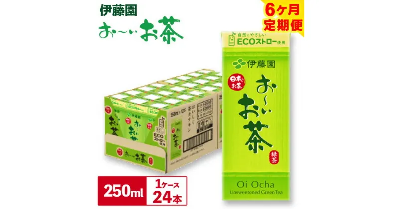 【ふるさと納税】【 6ヶ月 定期便 】紀の川市産紙パック飲料一日分おーいお茶250ml×24本 1ケース 株式会社伊藤園 毎月1回計6回お届け《お申込み月翌月から出荷開始》和歌山県 紀の川市 お茶 おーいお茶 緑茶 日本茶