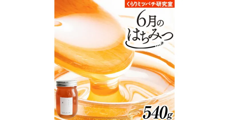 【ふるさと納税】6月のはちみつ 540g KURARI くらりミツバチ研究室《90日以内に出荷予定(土日祝除く)》和歌山県 紀の川市 蜂蜜 ハチミツ 非加熱 純正生はちみつ トースト ヨーグルト