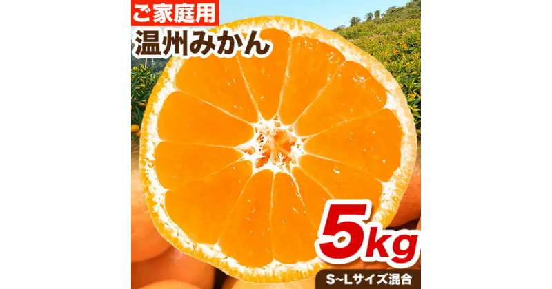 【ふるさと納税】ご家庭用 温州みかん 5kg (S〜Lサイズ混合) 和田果樹園《11月上旬-2月上旬頃出荷》 和歌山県 紀の川市 みかん ミカン 果物 フルーツ 温州みかん ご家庭用 送料無料