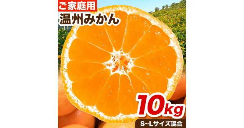 【ふるさと納税】ご家庭用 温州みかん 10kg (S〜Lサイズ混合) 和田果樹園《11月上旬-2月上旬頃出荷》 和歌山県 紀の川市 みかん ミカン 果物 フルーツ 温州みかん ご家庭用 送料無料