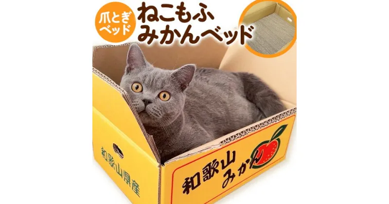 【ふるさと納税】爪とぎ ねこもふみかんベッド 濱田紙販売株式会社 猫 ネコ ツメとぎ 《90日以内に出荷予定(土日祝除く)》 和歌山県 紀の川市 ペット用品 段ボール ダンボール デザイン 蜜柑