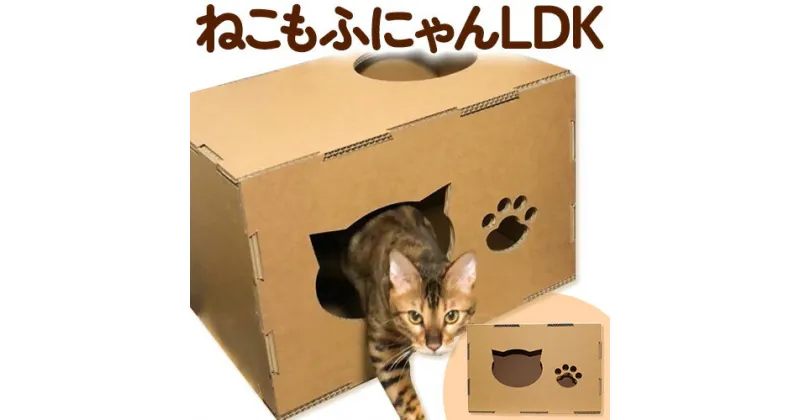 【ふるさと納税】ねこもふにゃんLDK 濱田紙販売株式会社 猫 ネコ《90日以内に出荷予定(土日祝除く)》 和歌山県 紀の川市 ペット用品 段ボール ダンボール