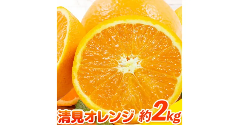 【ふるさと納税】清見オレンジ 2kg ときわオンライン《2025年1月中旬-3月下旬頃出荷》 和歌山県 紀の川市 フルーツ 果物 清見 オレンジ 柑橘 送料無料