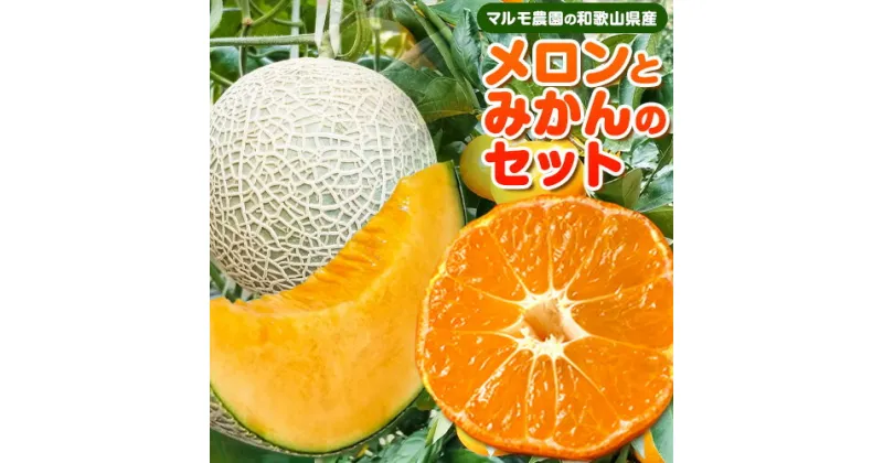 【ふるさと納税】和歌山県産メロン みかんセット メロン約1kg〜1.3kg、みかん1.5kgマルモ農園《2024年12月中旬-2025年1月中旬頃出荷》和歌山県 紀の川市