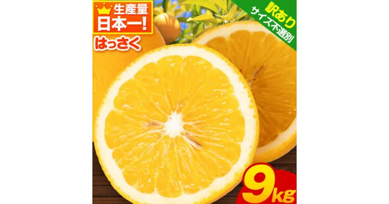 【ふるさと納税】＜先行予約＞【訳あり/ご家庭用】紀の川市産 はっさく 約9kg (4L~Sサイズ サイズ不選別)早生・晩生指定不可《2月上旬-4月中旬に出荷予定(土日祝除く)》和歌山県 紀の川市 産地直送 みかん 八朔 柑橘 果物 フルーツ ご家庭用 ビタミンC たっぷり 9000円