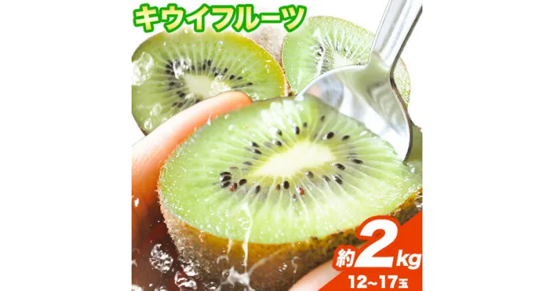 【ふるさと納税】和歌山県紀の川市産 キウイ約2kg(12〜17玉) ときわオンライン《12月下旬-2025年5月中旬頃出荷》 和歌山県 紀の川市 キウイ キウイフルーツ 果物 フルーツ 送料無料