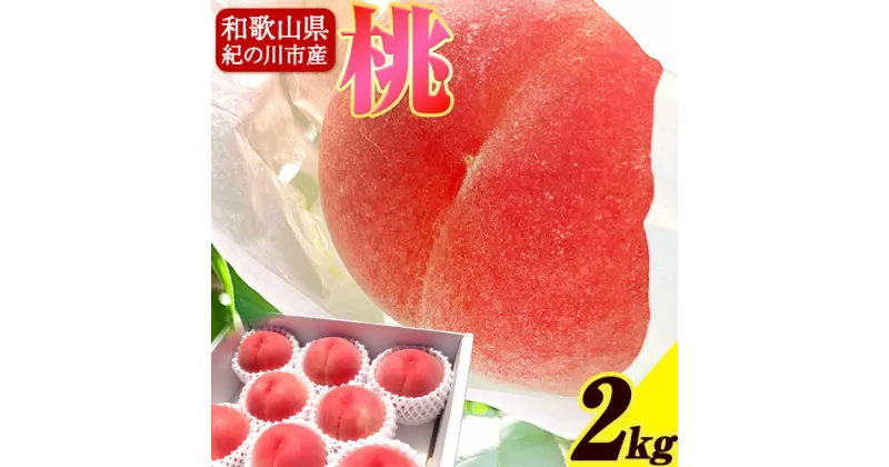 【ふるさと納税】和歌山の桃 約2kg(5-8玉) strong peach《2025年6月末頃-8月末頃出荷》和歌山県 紀の川市 桃 もも紀の川市産 2kg