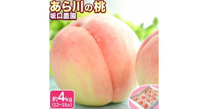 【ふるさと納税】あら川の桃 秀品 約4kg(12~15玉) 坂口農園【先行予約】《2025年6月下旬-8月下旬頃出荷》 和歌山県 紀の川市 桃 もも モモ 白鳳 日川白鳳 紀の里白鳳 清水白桃 川中島白桃 なつっこ 月あかり 黄金桃 あら川の桃 送料無料