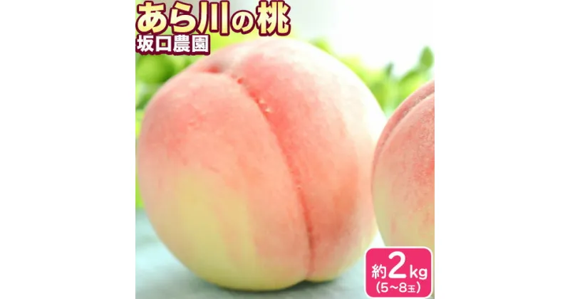 【ふるさと納税】あら川の桃 秀品 約2kg(5~8玉) 坂口農園《2025年6月下旬-8月下旬頃より出荷予定》 和歌山県 紀の川市 桃 もも モモ 白鳳 日川白鳳 紀の里白鳳 清水白桃 川中島白桃 なつっこ 月あかり 黄金桃 あら川の桃 送料無料