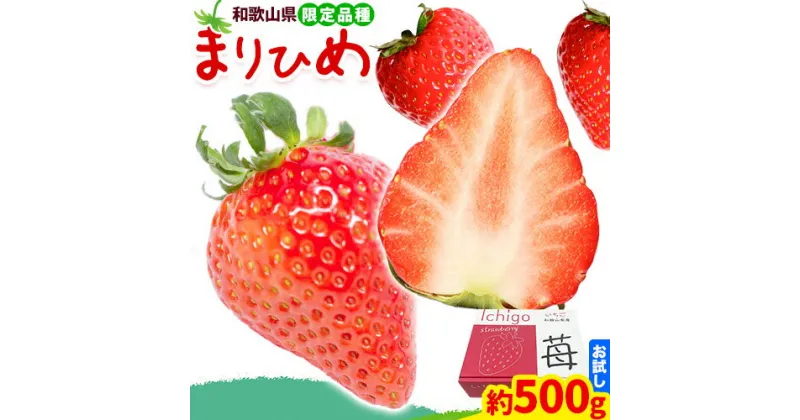 【ふるさと納税】いちご まりひめ 約500g ( 250g × 2パック ) お試し パック 苺 イチゴ JA紀の里農業協同組合《2月中旬-3月末頃出荷》 和歌山県 紀の川市 青果物 果物 くだもの フルーツ スイーツ