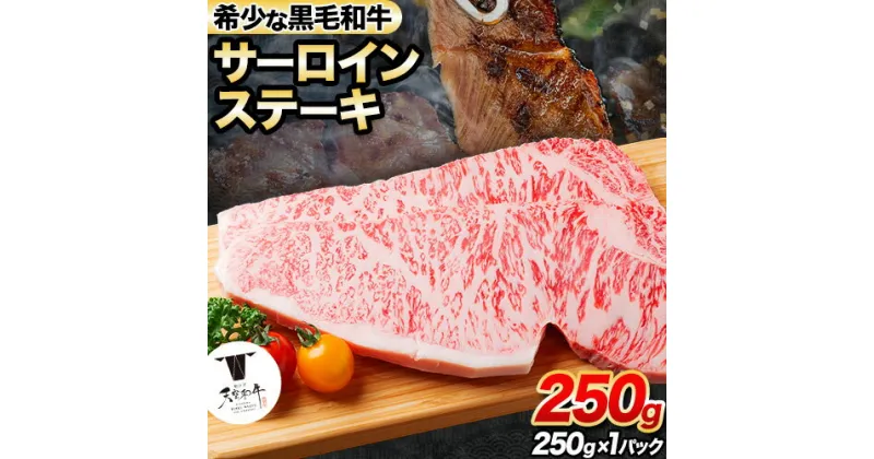 【ふるさと納税】熊野牛 紀の川天空和牛 サーロインステーキ約250g(約250g × 1枚) 有限会社松牛《30日以内に出荷予定(土日祝除く)》サーロインステーキ 黒毛和牛 牛 牛肉 牛肉ステーキ ステーキ 和歌山県 紀の川市