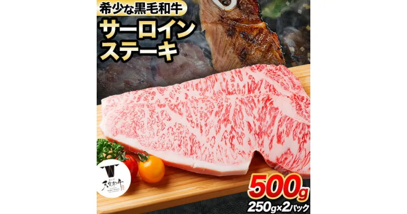 【ふるさと納税】熊野牛 紀の川天空和牛 サーロインステーキ約500g(約250g × 2枚) 有限会社松牛 《30日以内に出荷予定(土日祝除く)》サーロインステーキ 黒毛和牛 牛 牛肉 牛肉ステーキ ステーキ 和歌山県 紀の川市