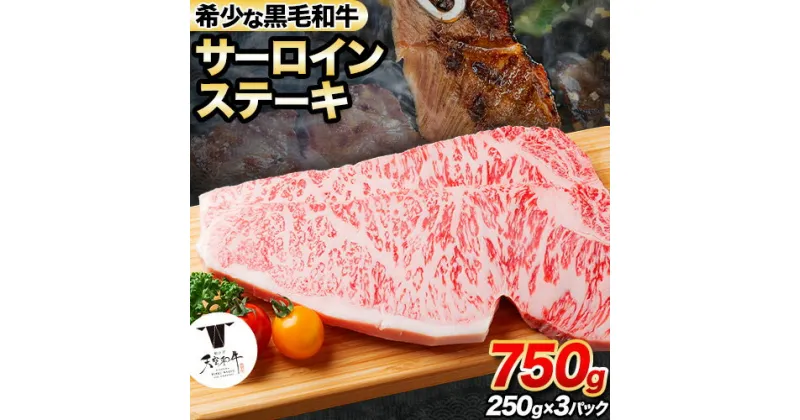 【ふるさと納税】熊野牛 紀の川天空和牛 サーロインステーキ約750g(約250g × 3枚) 有限会社松牛 《30日以内に出荷予定(土日祝除く)》 サーロインステーキ 黒毛和牛 牛 牛肉 牛肉ステーキ ステーキ 和歌山県 紀の川市