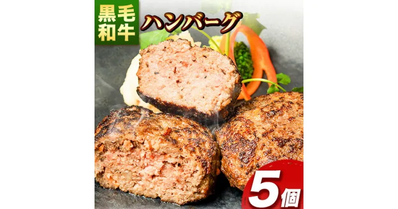 【ふるさと納税】肉 黒毛和牛 ハンバーグ 天空和牛ハンバーグ 約500g (約100g×5個)《30日以内に出荷予定(土日祝除く)》有限会社松牛 和歌山県 紀の川市 熊野牛 紀の川天空和牛 惣菜 おかず