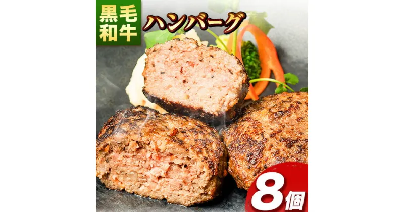 【ふるさと納税】肉 黒毛和牛 ハンバーグ 天空和牛ハンバーグ 約800g (約100g×8個)《30日以内に出荷予定(土日祝除く)》有限会社松牛 和歌山県 紀の川市 熊野牛 紀の川天空和牛 惣菜 おかず