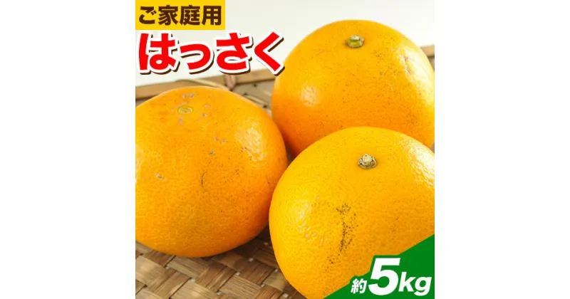 【ふるさと納税】【訳あり/ご家庭用】はっさく 八朔 4kg＋1kg 計約5kg サンファーム《1月上旬-3月末頃出荷》和歌山県 紀の川市 ご家庭用 7000円