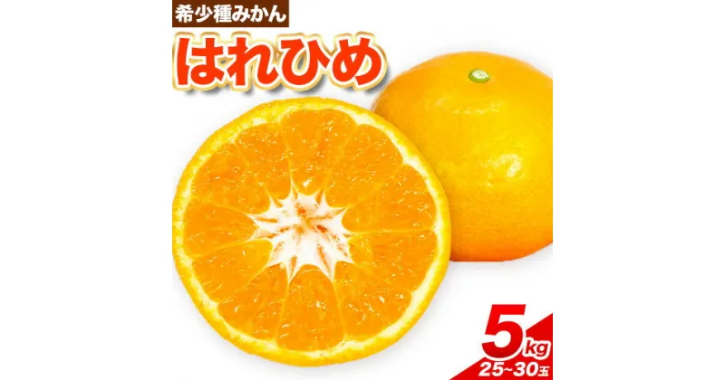 【ふるさと納税】【先行予約】みかん はれひめ 約 5kg 25玉 〜 30玉 紀農人株式会社《2024年12月中旬-2025年2月上旬頃出荷》 和歌山県 紀の川市 果物 フルーツ 柑橘 蜜柑 柑橘類 旬