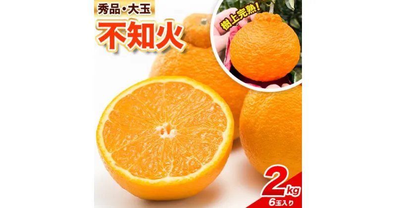 【ふるさと納税】こだわりの樹上完熟！秀品 大玉 不知火 約 2kg 紀農人株式会社《2025年2月中旬-4月上旬頃出荷》 和歌山県 紀の川市 果物 フルーツ 柑橘 蜜柑 柑橘類 旬 しらぬい