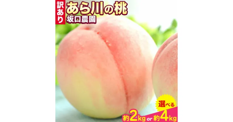 【ふるさと納税】桃 あら川の桃 訳あり ご家庭用 2kg 4kg 坂口農園《2025年6月下旬-8月下旬頃より出荷予定》 和歌山県 紀の川市 桃 もも モモ 白鳳 川中島白鳳 紀の里白鳳 清水白桃 川中島白桃 なつっこ 月あかり 黄金桃 あら川の桃 送料無料