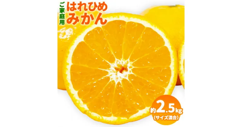 【ふるさと納税】【先行予約】【希少柑橘】 はれひめみかん 約 2.5kg（サイズ混合　ご家庭用） 紀の川市厳選館《2024年12月上旬-2025年1月中旬頃出荷》 和歌山県 紀の川市 果物 フルーツ 柑橘 蜜柑 柑橘類 旬