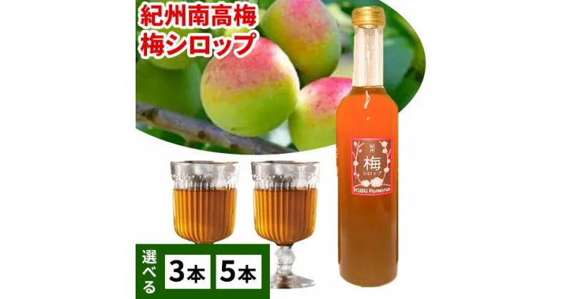 【ふるさと納税】孫さんの紀州南高梅 梅シロップ 選べる 500ml×3本 500ml×5本 イクス産業《30日以内に出荷予定(土日祝除く)》和歌山県 紀の川市 梅 シロップ