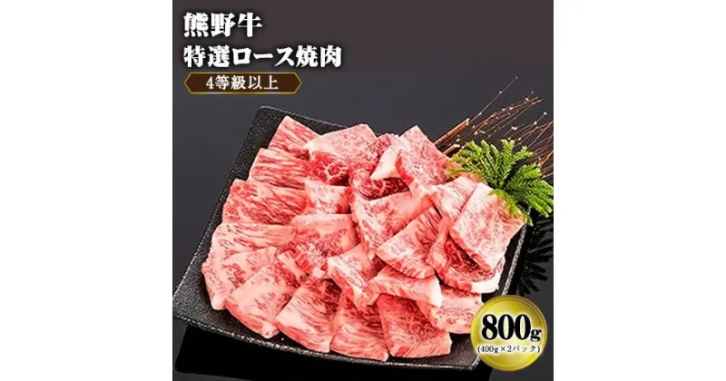 【ふるさと納税】「熊野牛」特選ロース焼肉800g 4等級以上 株式会社松源《30日以内に出荷予定(土日祝除く)》和歌山県 岩出市