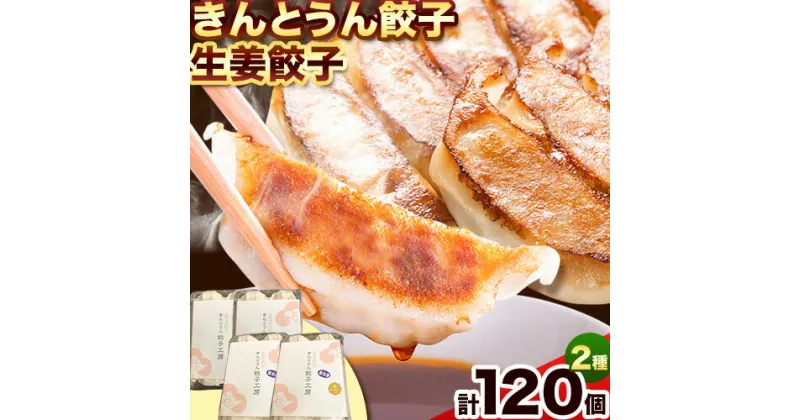 【ふるさと納税】紀州きんとうん餃子 生姜餃子 2種 セット 計120個 ( 30個 入り × 4パック ) きんとうん餃子工房《90日以内に出荷予定(土日祝除く)》 和歌山県 岩出市 餃子 ぎょうざ 惣菜 中華 生姜 冷凍 送料無料