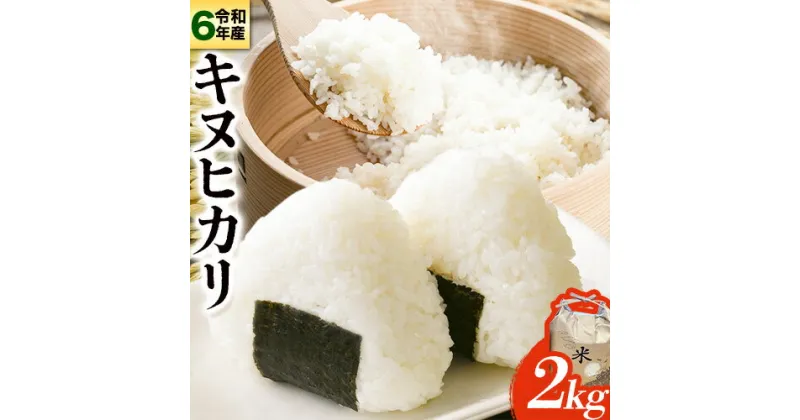 【ふるさと納税】令和6年産 新米 キヌヒカリ 2kg 《10月中旬-1月中旬に出荷予定(土日祝除く)》東農園 和歌山県 岩出市 米 こめ コメ きぬひかり 白米 送料無料 米びつ スーパーセール 2キロ 精米