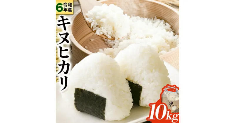 【ふるさと納税】令和6年産 無洗米 キヌヒカリ 10kg 《10月中旬-1月中旬に出荷予定(土日祝除く)》 東農園 和歌山県 岩出市 米 無洗米 こめ コメ きぬひかり 白米 送料無料 米びつ スーパーセール 10キロ 精米