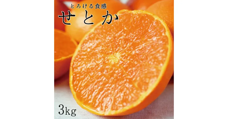 【ふるさと納税】とろける食感！ジューシー柑橘　せとか　約3kg ※2025年2月末頃～2025年3月中旬頃発送(お届け日指定不可)