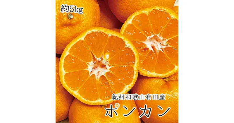 【ふるさと納税】紀州和歌山有田産ポンカン　5kg ≪国産 有田産 和歌山産 フルーツ 果物 紀州≫※2025年2月上旬頃〜2月下旬頃に順次発送予定