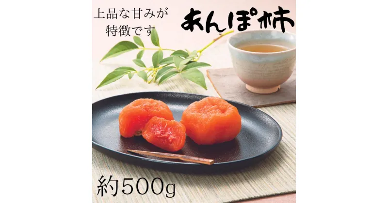 【ふるさと納税】 紀州かつらぎ山のあんぽ柿　化粧箱入　約500g　※2025年1月中旬頃から順次発送予定※着日指定不可