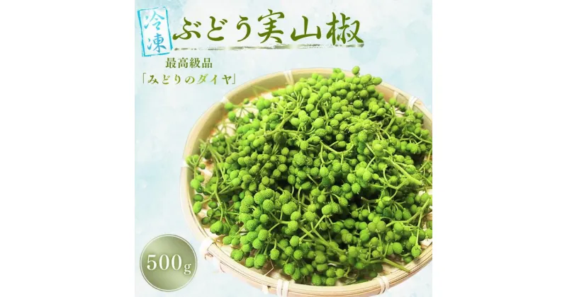 【ふるさと納税】 山椒 冷凍 ぶどう生実山椒 500g 《 レビューキャンペーン 実施中 ! 》/ 山椒 野菜 冷凍 香辛料 調味料 スパイス 青実山椒 冷凍便