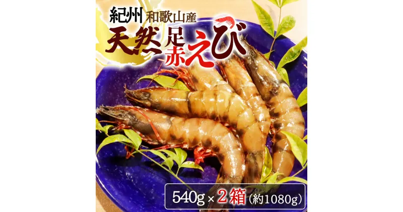 【ふるさと納税】紀州和歌山産天然足赤えび540g×2箱（270g×4パック）化粧箱入※着日指定不可※2024年11月上旬頃〜2025年2月下旬頃に順次発送予定