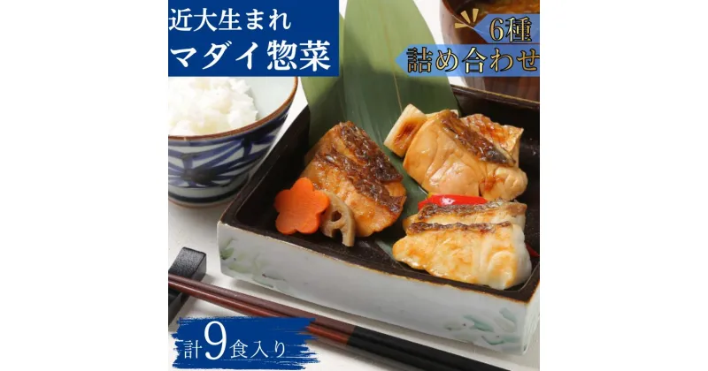 【ふるさと納税】レンジで簡単！近大生まれマダイ惣菜 6種詰合せ（計9食入）おかず お惣菜 西京漬け 近畿大学 詰め合わせ セット