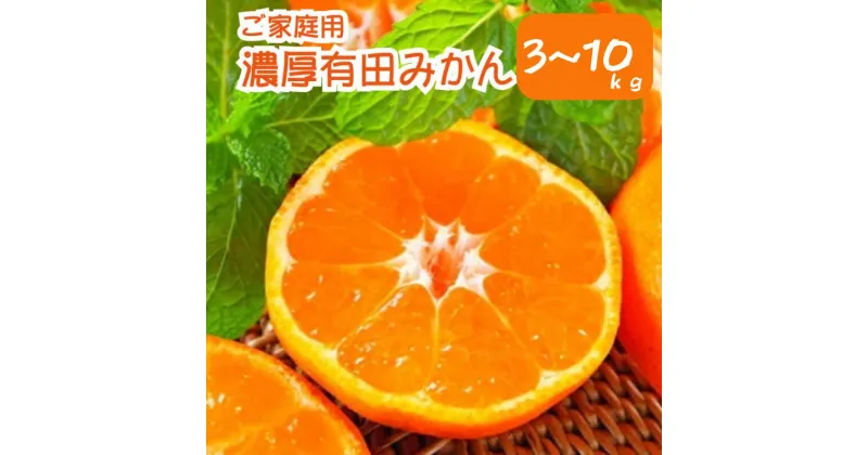 【ふるさと納税】農園直送！濃厚有田みかん　容量・配送時期が選べる！※2024年11月上旬～2024年12月下旬頃（順次発送予定）（お届け日指定不可）※北海道・沖縄・離島配送不可 / 和歌山 ミカン オレンジ 柑橘 フルーツ 果物 ブランド 旬